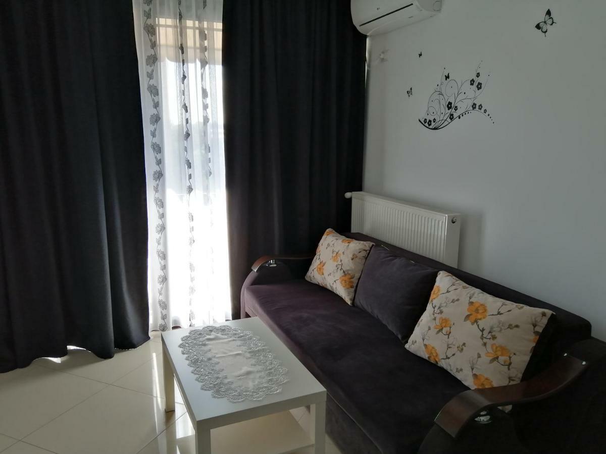 Apartament Negru Voda ピテシュティ エクステリア 写真
